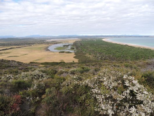 View over Narawntapu N.P. toward Port Sorell